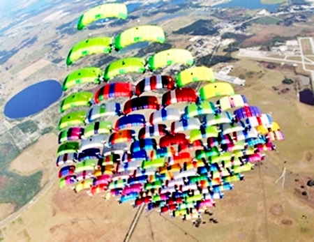 canopy formation